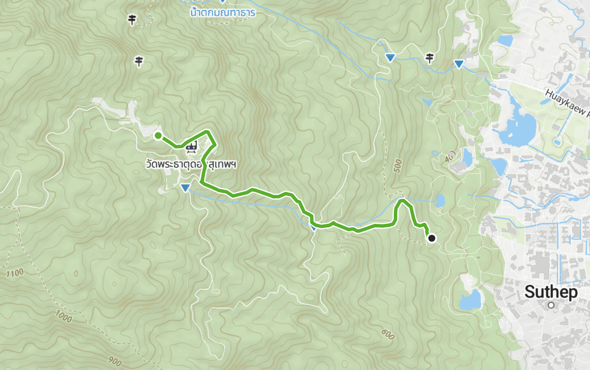 Trail map route for CMSF2026:Trail-Walking