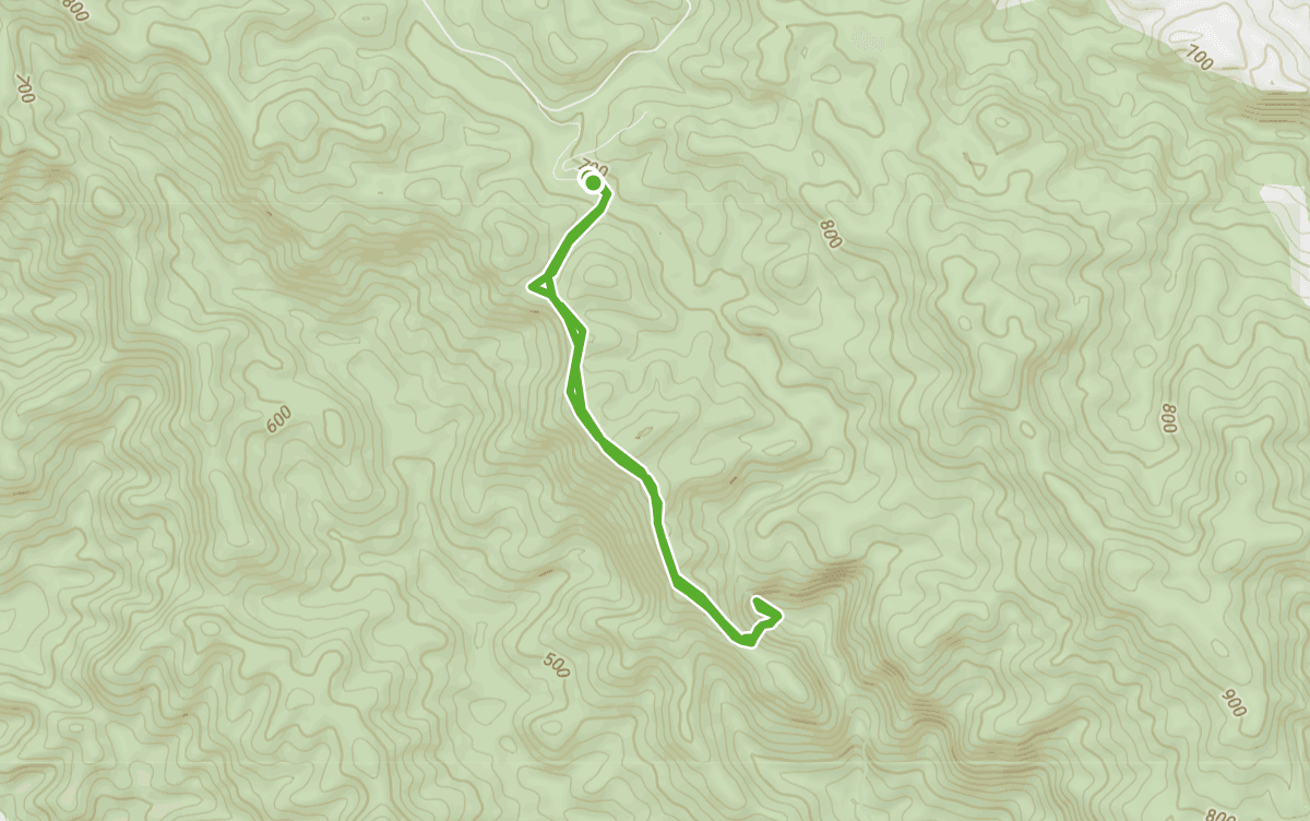 Trail map route for Camping and guesthouse Out & Back