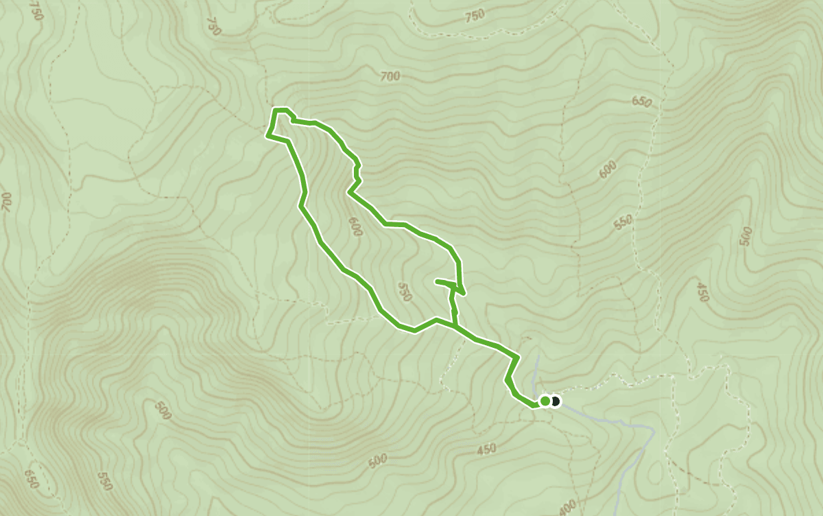 Trail map route for Crying Dog Waterfall Loop